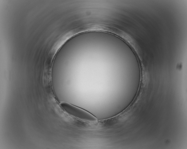 X0000113011097200909171424