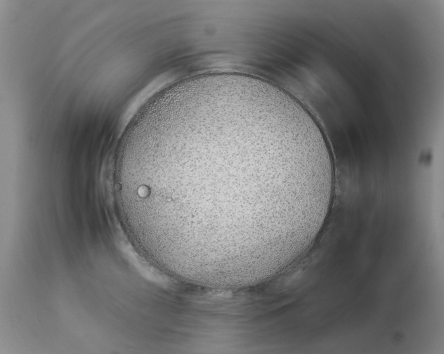 X0000113011098200909171424