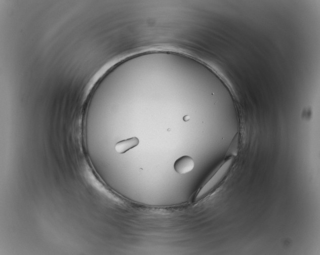 X0000113011100200909171424