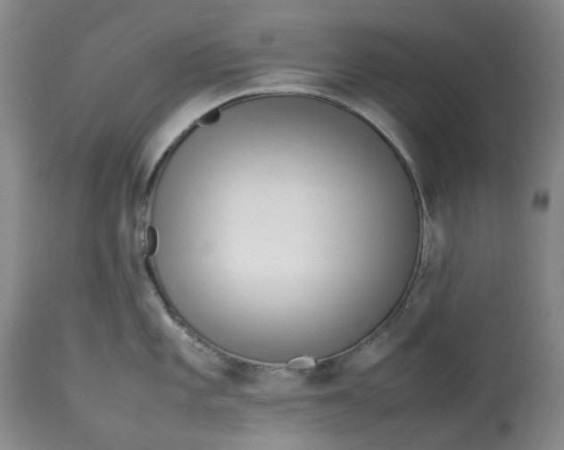 X0000113011101200909171424