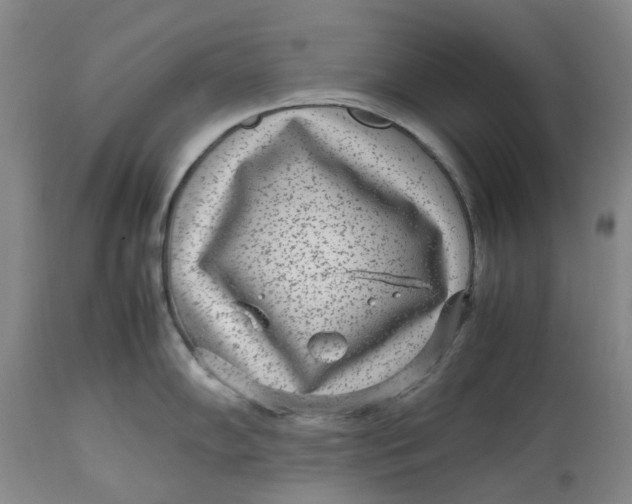 X0000113011102200909171424