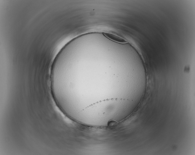 X0000113011103200909171423