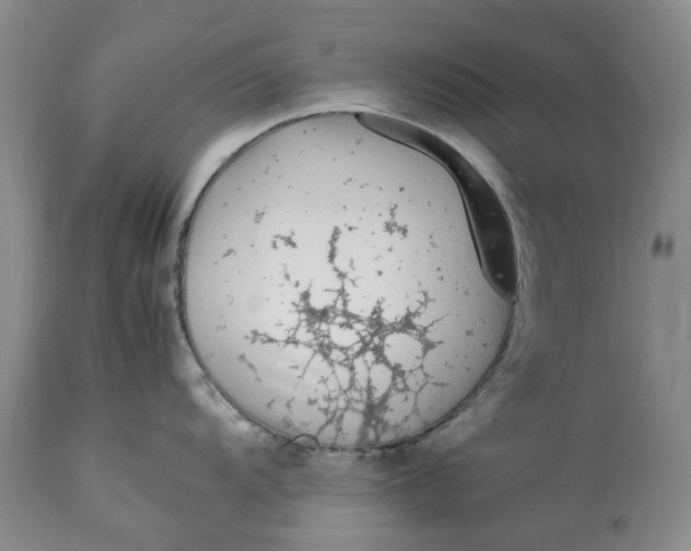 X0000113011104200909171423