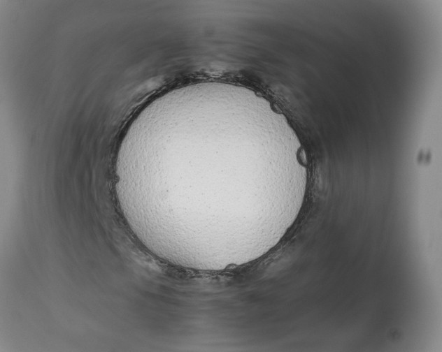 X0000113011105200909171423