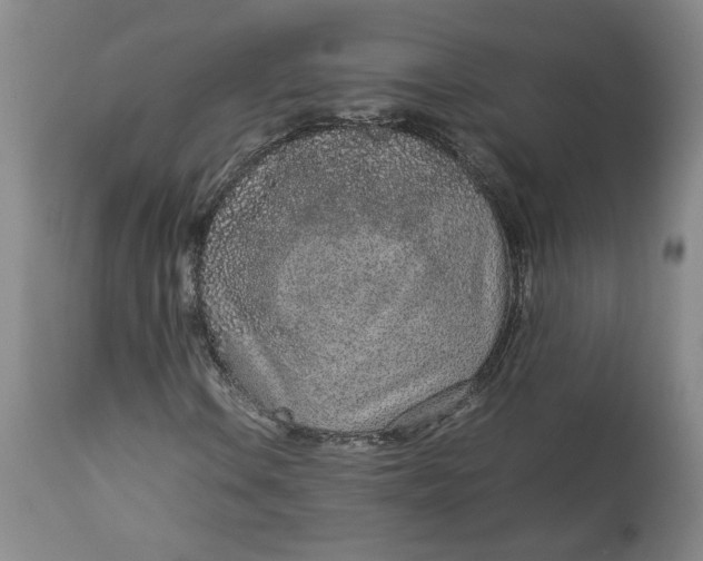 X0000113011106200909171423