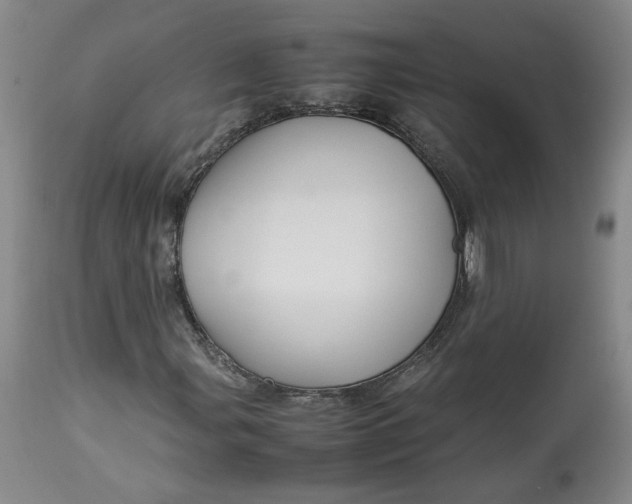 X0000113011107200909171423