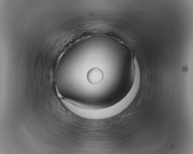 X0000113011108200909171423