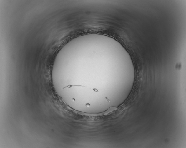 X0000113011109200909171423