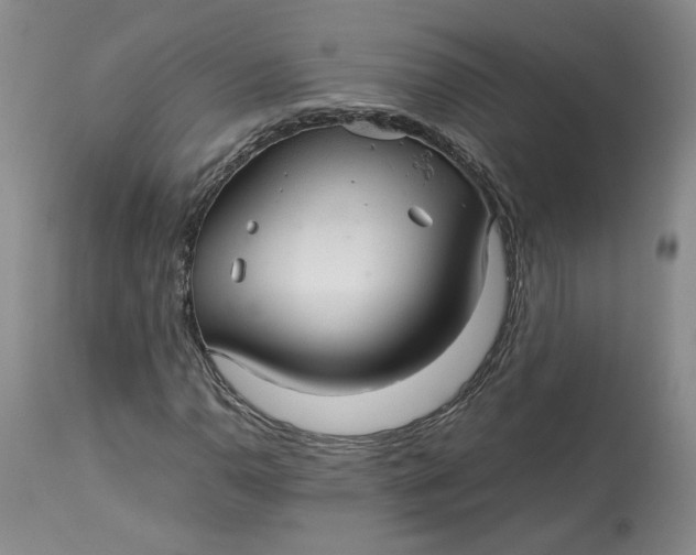 X0000113011110200909171423