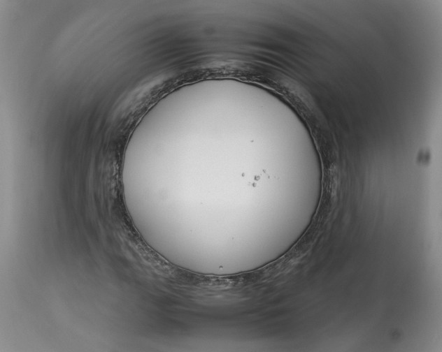 X0000113011111200909171423