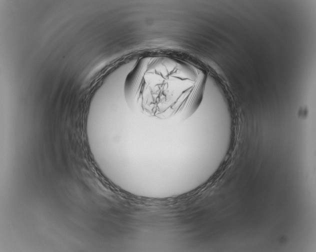 X0000113011112200909171423