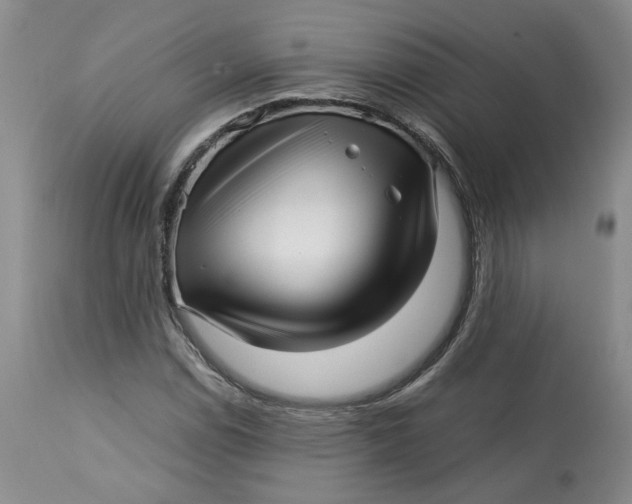 X0000113011114200909171423