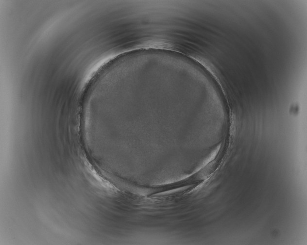 X0000113011115200909171423