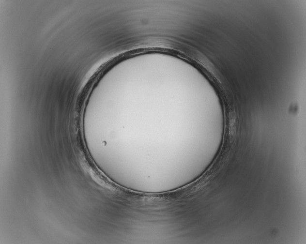 X0000113011116200909171423