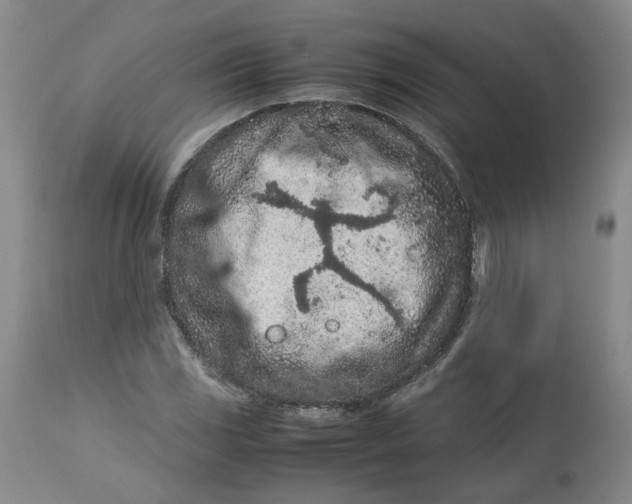 X0000113011117200909171423