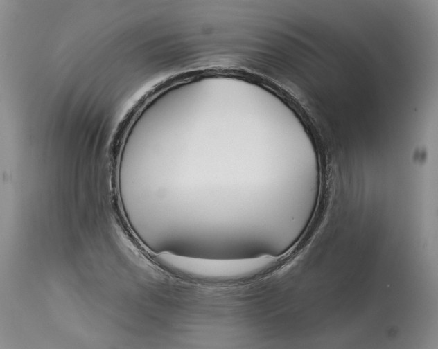 X0000113011118200909171423