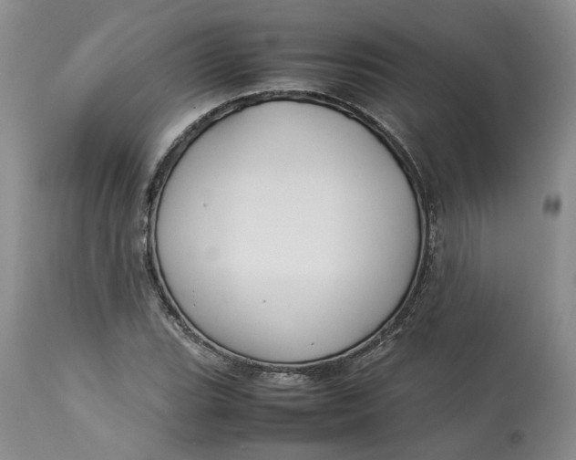 X0000113011119200909171423