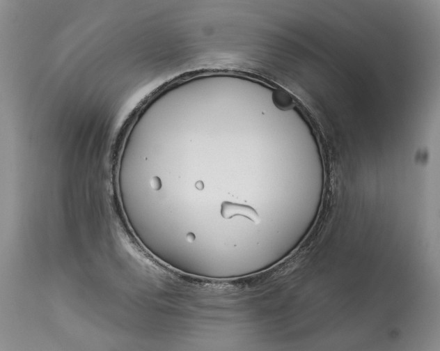 X0000113011120200909171423