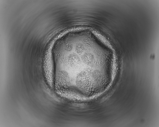 X0000113011121200909171423