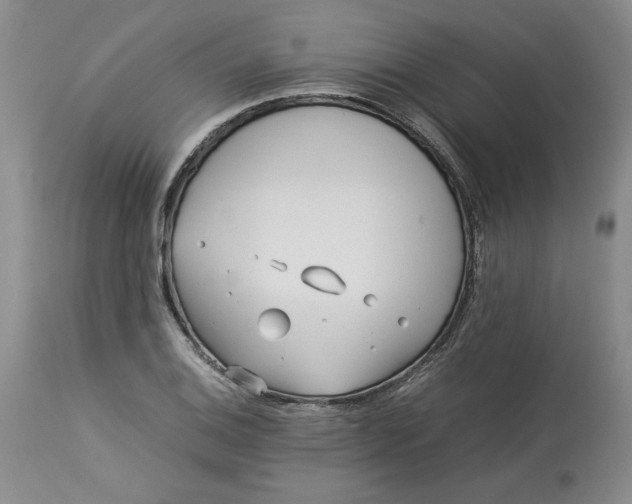 X0000113011124200909171423