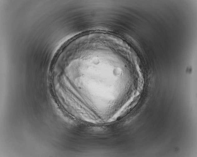 X0000113011125200909171423