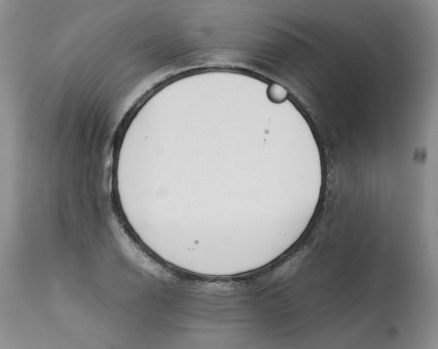 X0000113011126200909171423