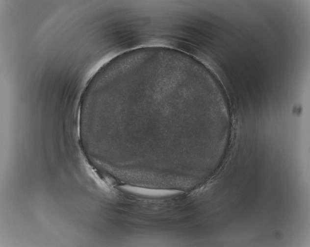 X0000113011127200909171423