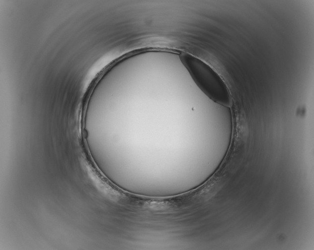 X0000113011128200909171423