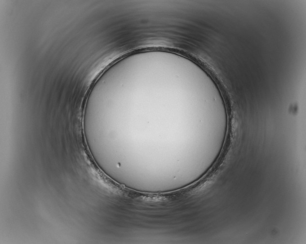 X0000113011129200909171423