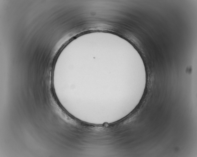 X0000113011130200909171423