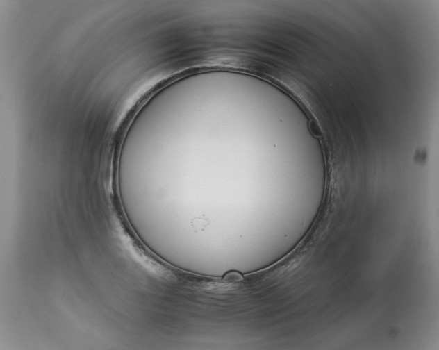 X0000113011131200909171423