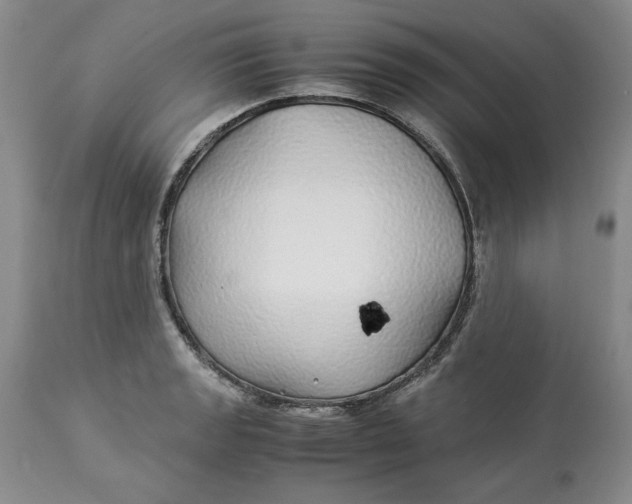 X0000113011133200909171423