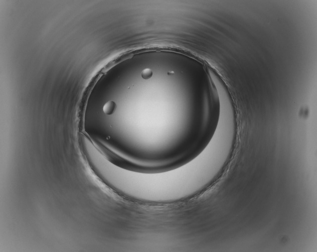 X0000113011134200909171423