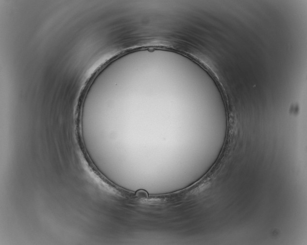 X0000113011135200909171423