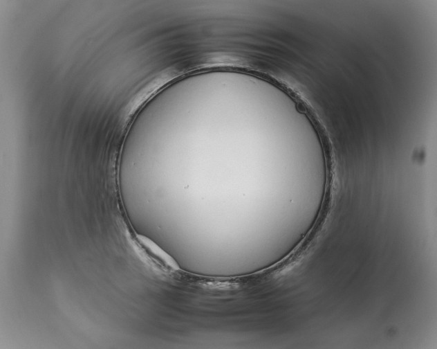 X0000113011137200909171423