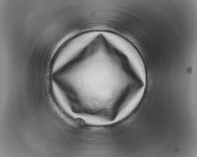 X0000113011142200909171423