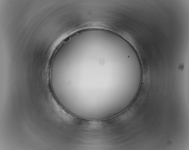 X0000113011144200909171423