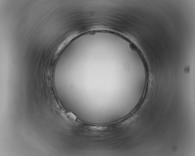 X0000113011145200909171423