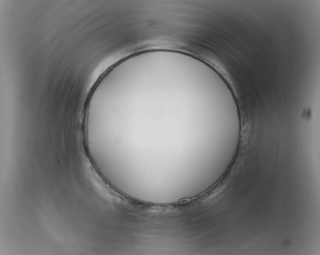 X0000113011146200909171423