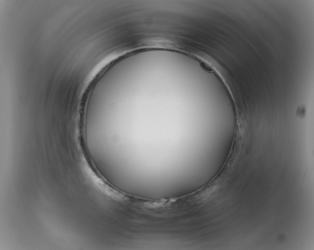 X0000113011147200909171423