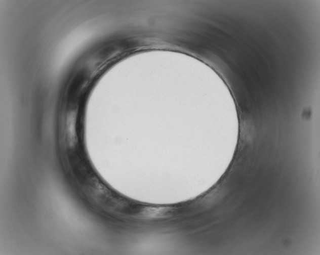 X0000113011150200909171423