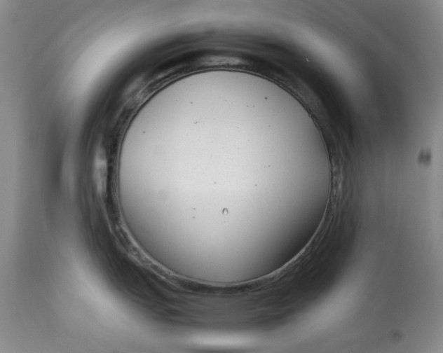 X0000113011151200909171423