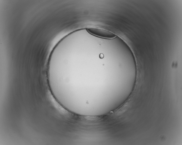 X0000113011152200909171423