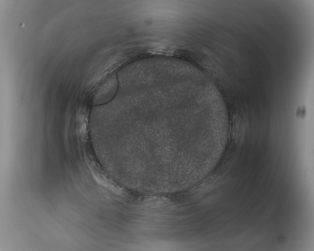 X0000113011154200909171423