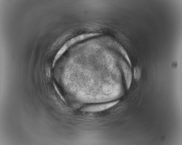 X0000113011155200909171423