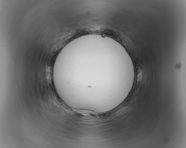 X0000113011156200909171423