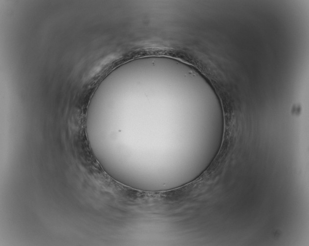 X0000113011157200909171423