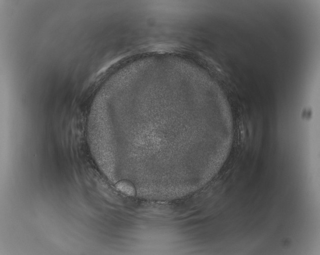 X0000113011158200909171423