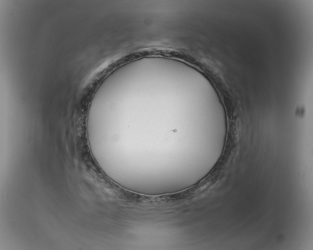 X0000113011159200909171423