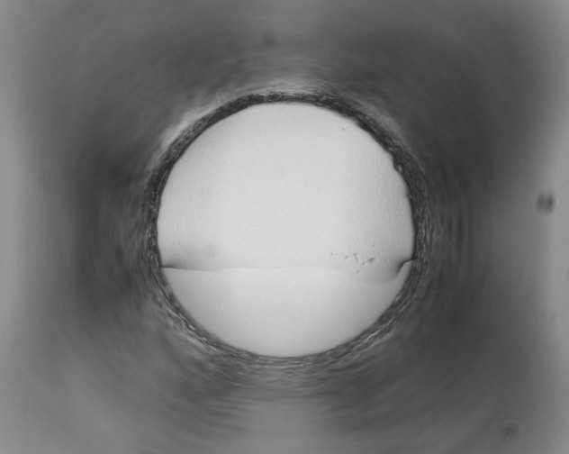 X0000113011160200909171423